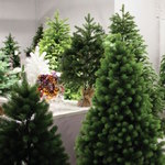 5 ft Christmas Trees