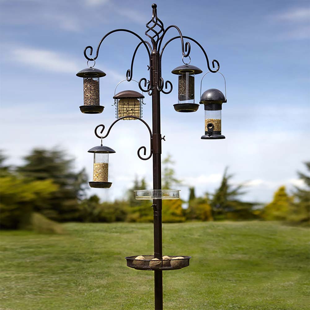 Elegance Bird Station