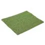 13mm Artificial Putting Green Grass – 2 Metre Roll
