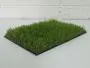 35mm Slaney Artificial Grass