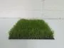 35mm Slaney Artificial Grass
