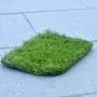 35mm Slaney Artificial Grass