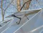 Balance Greenhouse 8' 16" - Silver