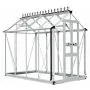 Halls Birdlip Greenhouse - 48 - 4ft x 8ft - Toughened - Silver