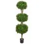 5ft (150cm) Topiary Buxus (Boxwood) Triple Ball Tree