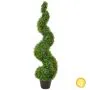 Topiary N Boxwood Spiral (120cm)