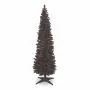 7ft (210cm) Black Pencil Pine
