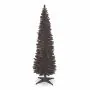 7 ft (210 cm) Black Pencil Pine