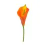 68cm (2.2ft) Large Lily Calla - Flame Red