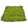 90cm x 90cm Topiary Moss Pad - Green