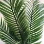 Multibranch 80CM Palm Frond Branch