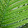 4ft (120cm) Artificial Palm Paradise Tree