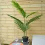 4ft (120cm) Artificial Palm Paradise Tree