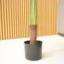 5ft (150cm) Artificial Palm Areca Tree