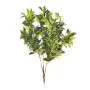 85cm MultiBranch Bay Branch