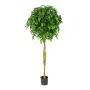 150cm Natural Tree Trunk Ficus Natasha Topping