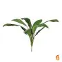 74cm Cordyline Green Foliage (Fire Resistant)