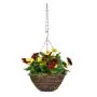 20cm Hanging Basket Pansy Basket - Red & Yellow