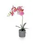49cm Orchid Pink Single in Grey Pot