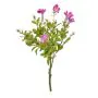 Plants Flowering Petunia Hanging 