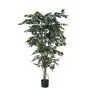 3ft (120cm) Potted Ficus Tree (UV Protected)