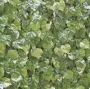 100cm x 100cm Virginia Creeper Wall Cover