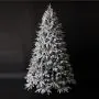 7ft (210cm) Frosted Mckinly Sruce