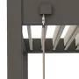 Zeus Bio-Climatic Pergola (3.6m x 7.2m) - Charcoal