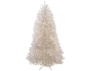 Dunhill White Fir 7Ft (210cm) Tree