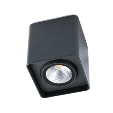 Tami LED Dark Grey Ceiling Lamp - 9W