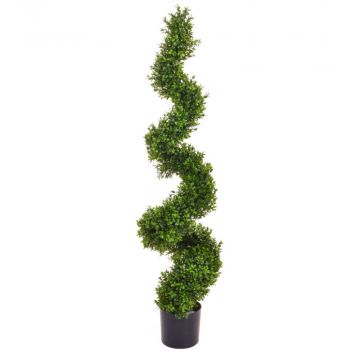 120cm Topiary Buxus Spiral