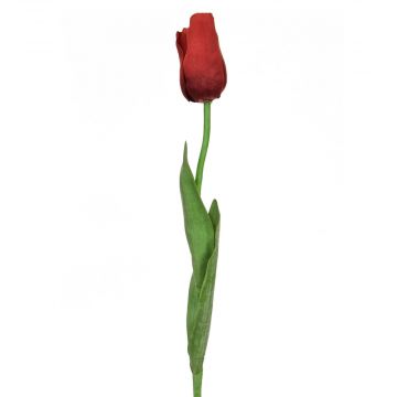 68cm (2.2ft) Tulip Elisa - Red