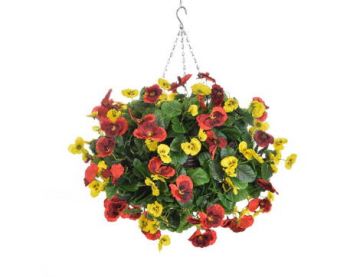 Hanging Basket Pansy Red Yellow 30cm