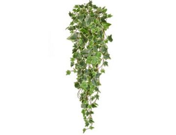 86cm Trailing Ivy - Variegated (Fire Resistant)