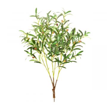 MultiBranch 85cm Olive Branch