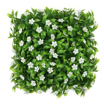 Jasmine Cream flower and Leaf Wall Panel 50cm x 50cm (UV Resistant)
