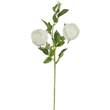 84cm Rose Double - White