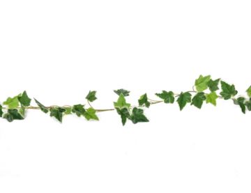180cm English Ivy Garland