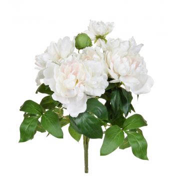 49.5cm (1.6ft) Flowering Peony - White/Pink