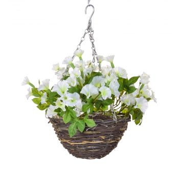 25cm Hanging Basket Petunia - White