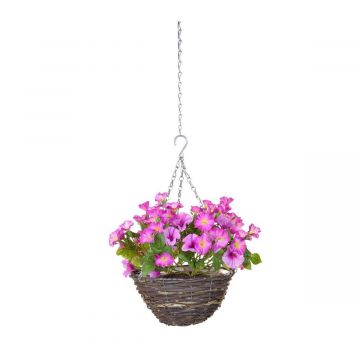 35cm Hanging Basket Petunia - Pink