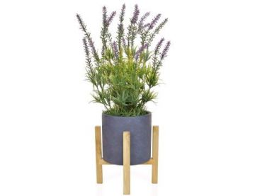 Lavender in Slate