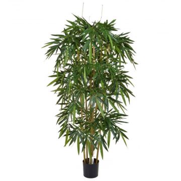5 ft (150 cm) Bamboo with Natural Tree Trunk