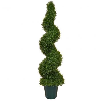 Topiary Rosemary Spiral (125cm)