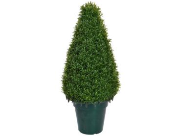 75cm Topiary Rosemary Tower