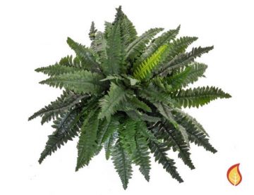 50cm x 80cm Boston Fern Large (Fire Resistant)