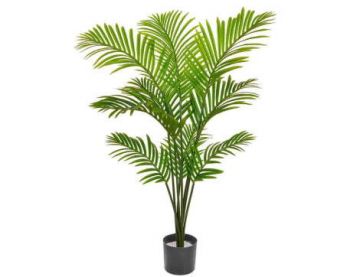 Palm Paradise Contract - 120CM