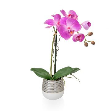 38cm Potted Orchid Beauty