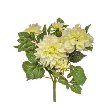 55cm (1.8ft) Flowering Dahlia - Cream
