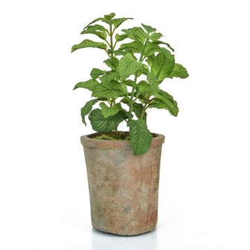 28cm Potted Herb – Mint